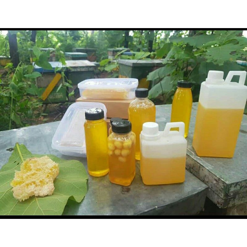 

Madu Jenis Multiflora kemasan 500 ml-1000 ml
