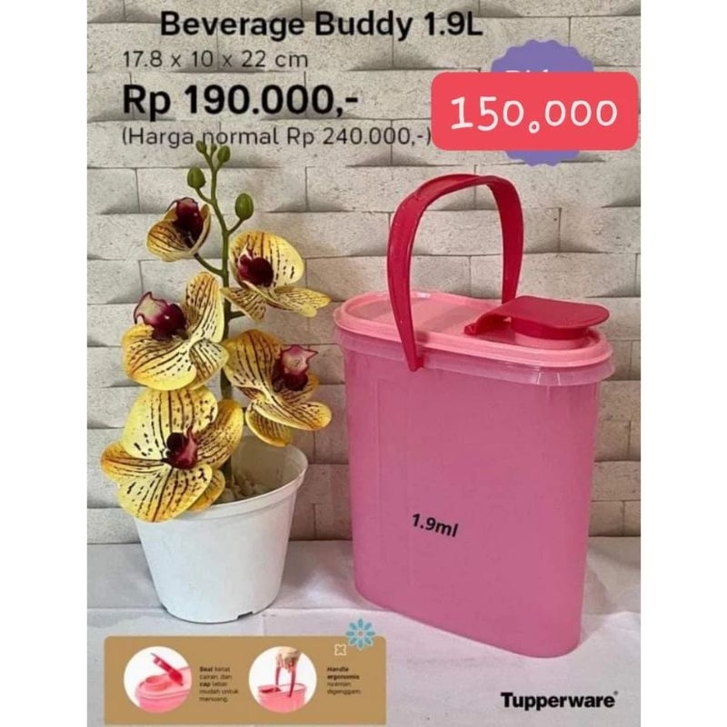 Jual beverage buddy tupperware - Kab. Situbondo - Santyaurum