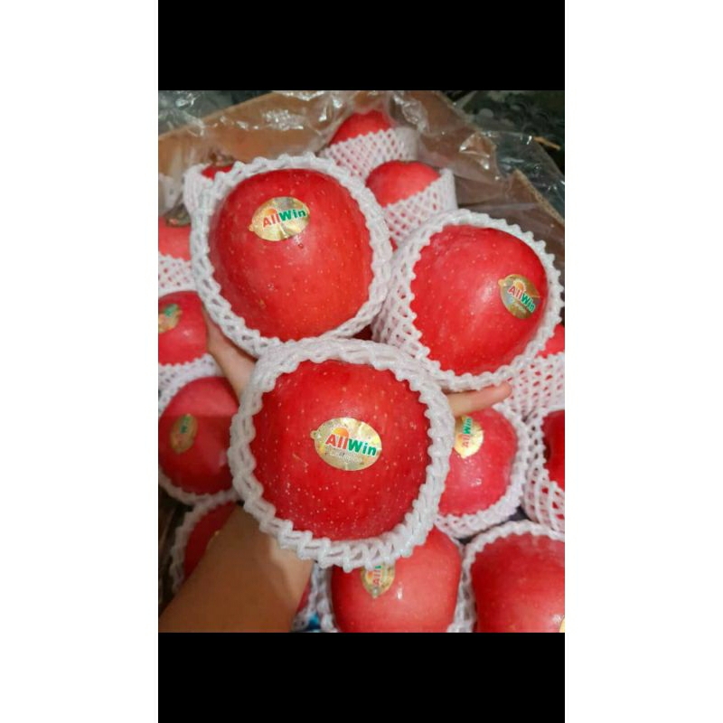 

Apel Premium allwin