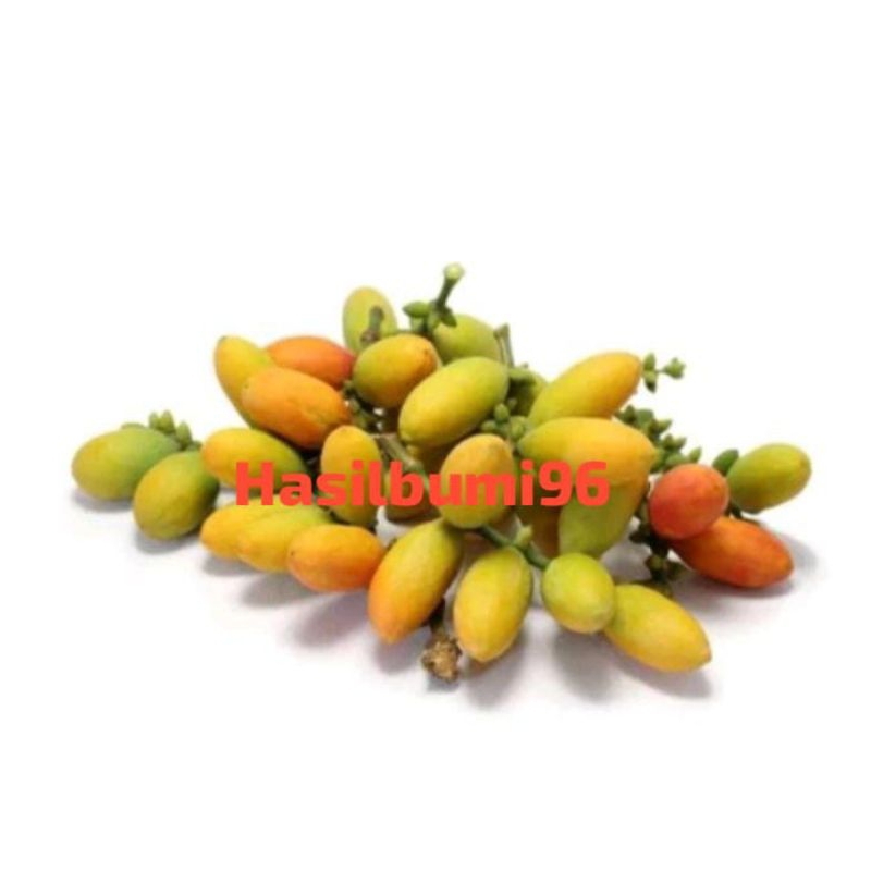 

BUAH MELINJO MUDA SEGAR LANGSUNG PETIK 250GR