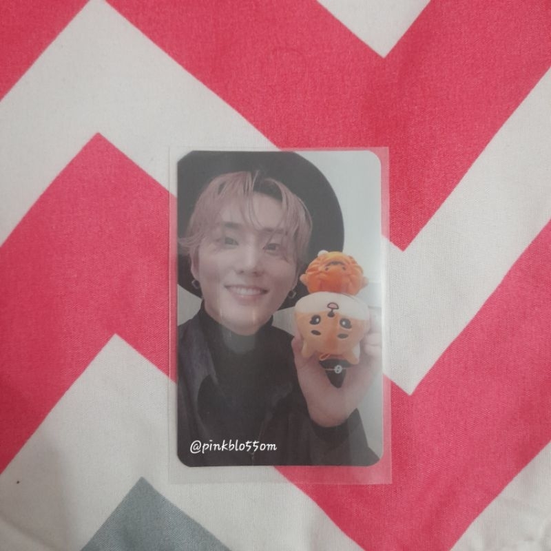 [BACA DESKRIPSI] photocard pc day6 young k lottery pop up store halloween with denimalz