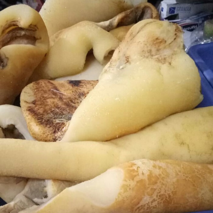 

kikil sapi super 500gr