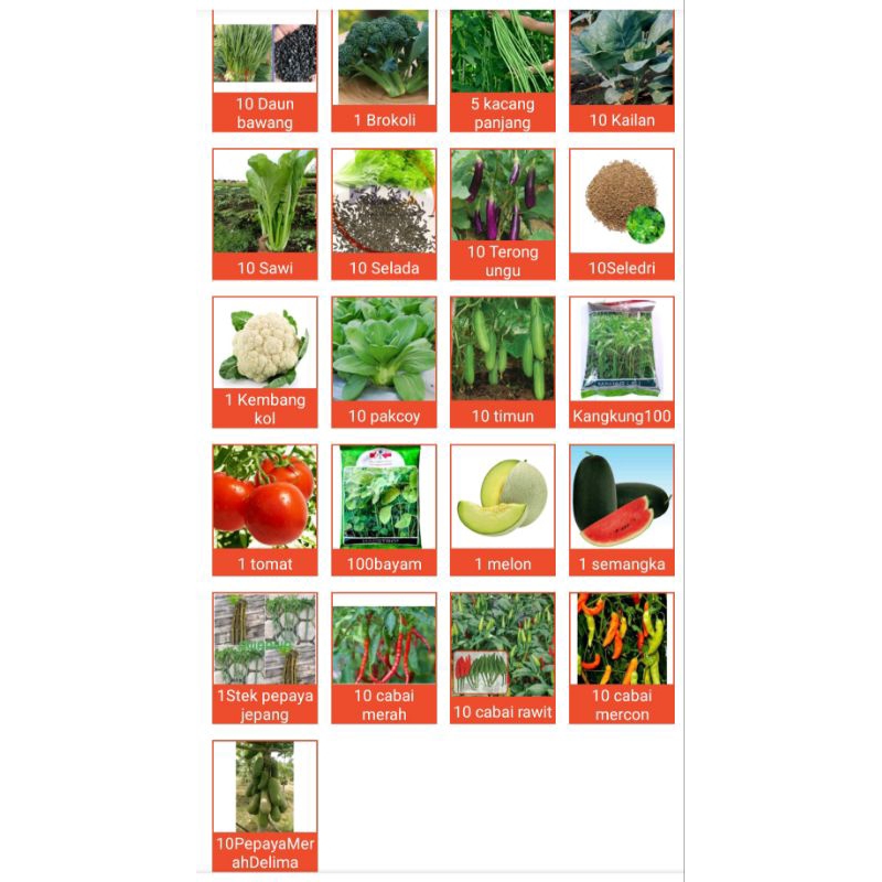 benih bibit bisi cap panah merah terong ungu daun bawang brokoli kembang kol bunga kol kacang panjan