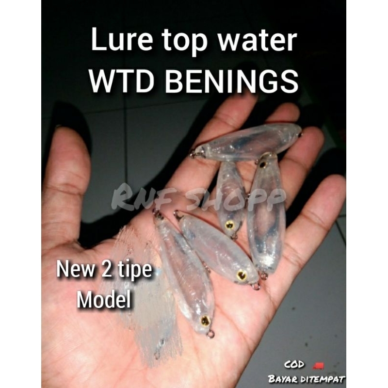 RnF - umpan pancing Lure top Water WTD Benings