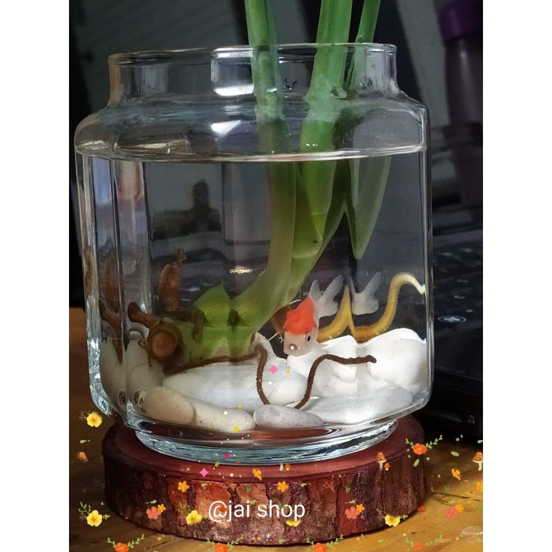 Aquarium mini cupang Aesthetic / Aquarium kaca hijfirna