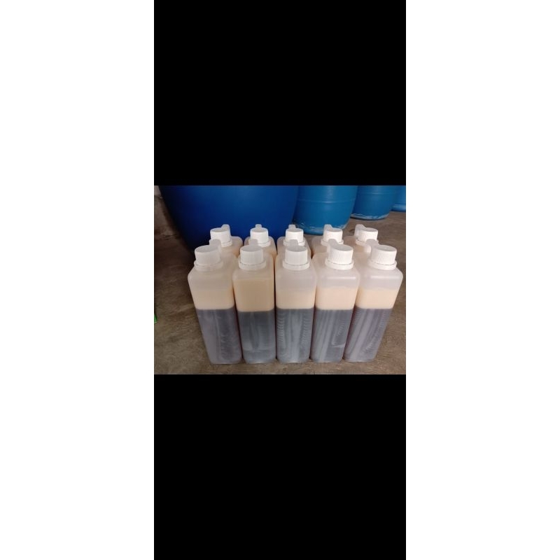 

madu liar dorsata 1 kg
