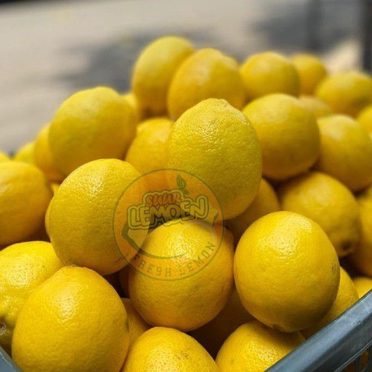 

LLQR3771 Dijamin Ori Jeruk Lemon California Super 1 KG by SUUR LEMOEN ID.
