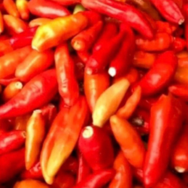 

cabe rawit merah petik .500gram.Rp 65.000