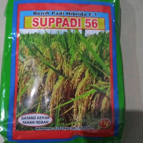 benih hibrida padi  SUPADI 56 EXP 06 2026 original