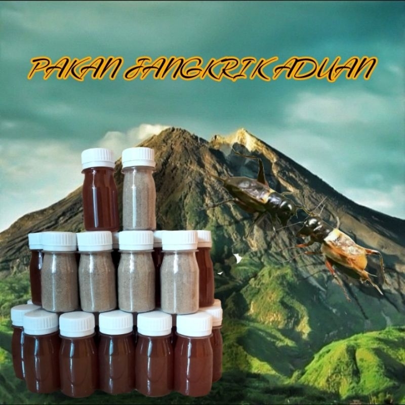 sadek jangkrik,doping jangkrik,jamu penambah stamina