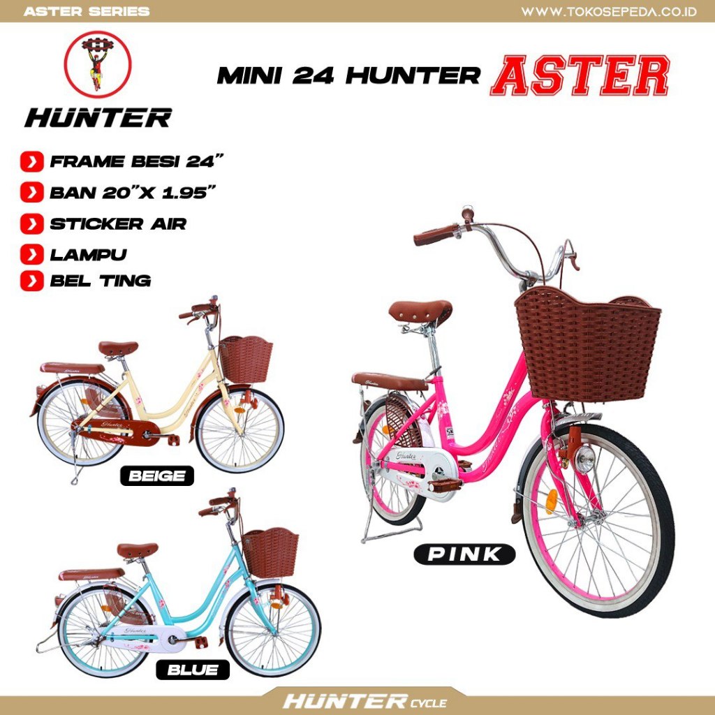 SEPEDA MINI 24" HUNTER ASTER