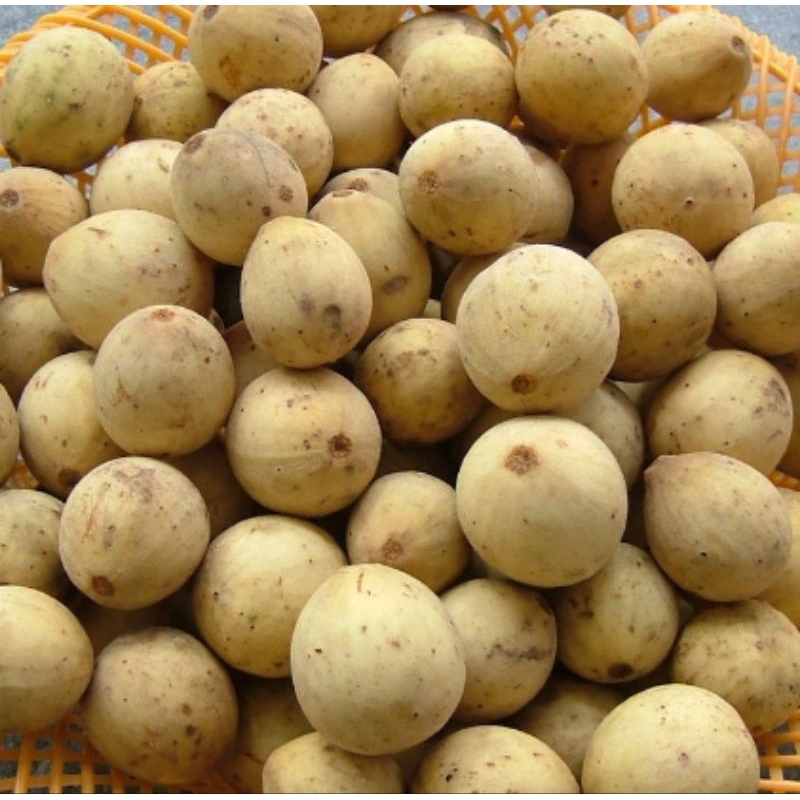 

DUKU PALEMBANG MANIS FRESH PILIHAN SPESIAL SUPER ( 1 KG )