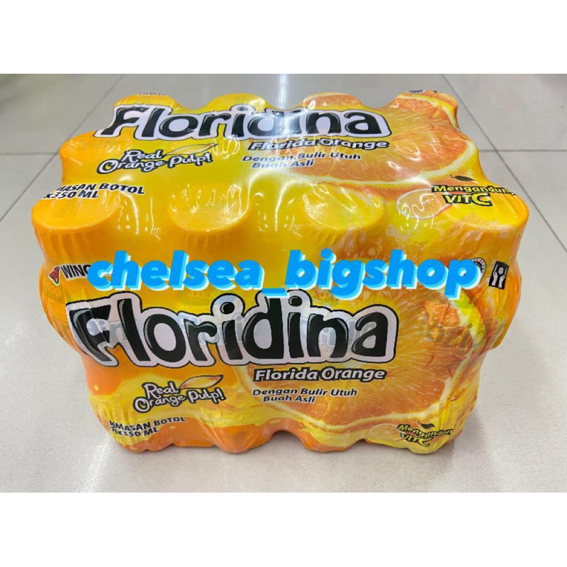 

1 DUS (ISI 12pcs) Floridina 350ml all variant