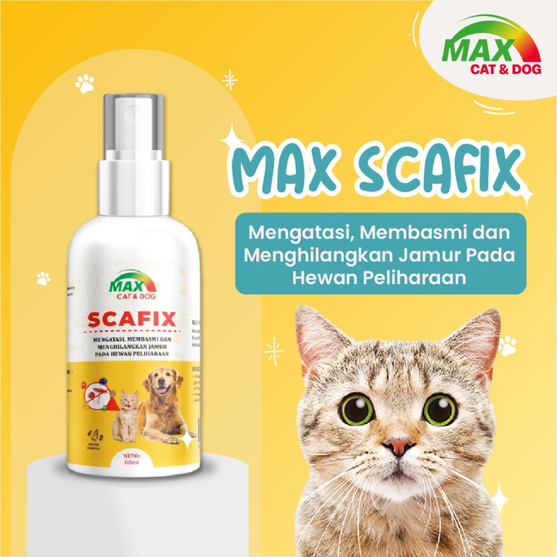 OBAT JAMUR SPRAY KUCING ANJING | MAX SCAFIX