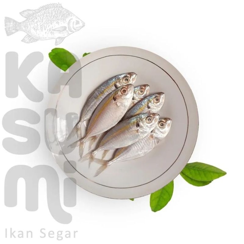 

IKAN SELAR FRESH