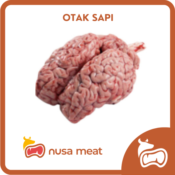 

Otak Sapi Segar - 1 Pcs
