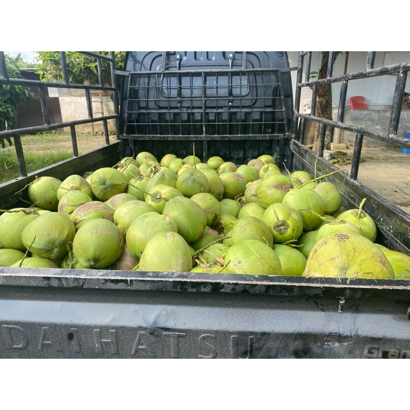 

KELAPA PANDAN THAILAND ORIGINAL