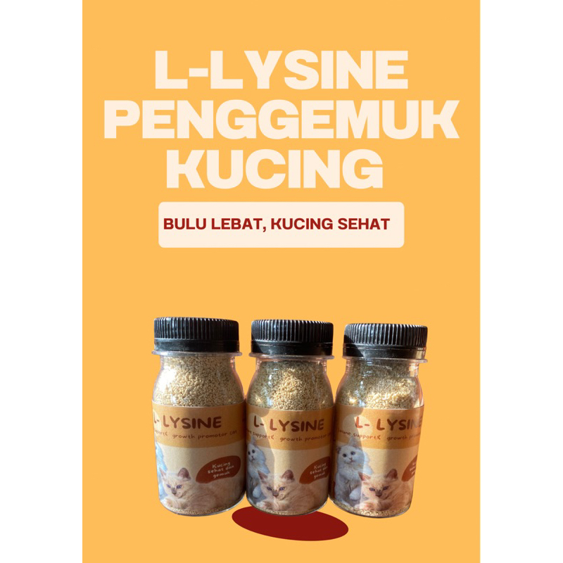 L-lysine penggemuk kucing