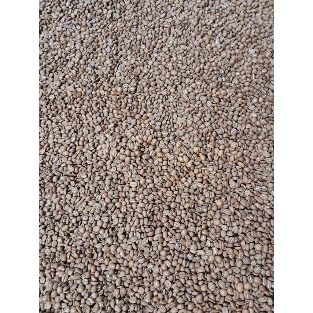 

kopi roasting arabika & robusta, Green Bean Arabika
