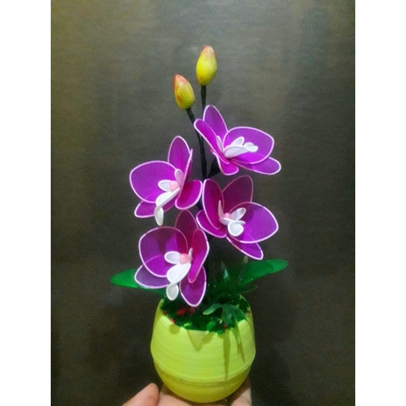 bunga stoking anggrek/ANGGREK BULAN