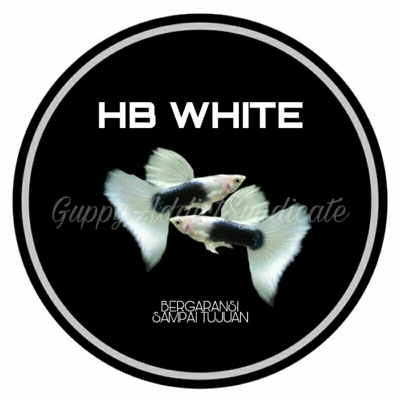 

Extra Packaging HB White (Half Black)