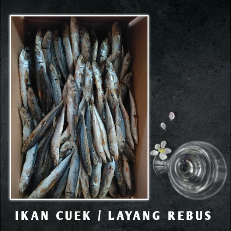 

IKAN ASIN LAYANG REBUS / IKAN CUEK ISI 1KG ( SUDAH DIREBUS )