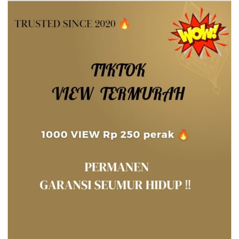 View Tikt*k fyp - Tlktok view Software Fastbooster