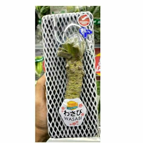 

Wasabi Fresh Batang Utuh | Wasabi Batang Fresh | Pack