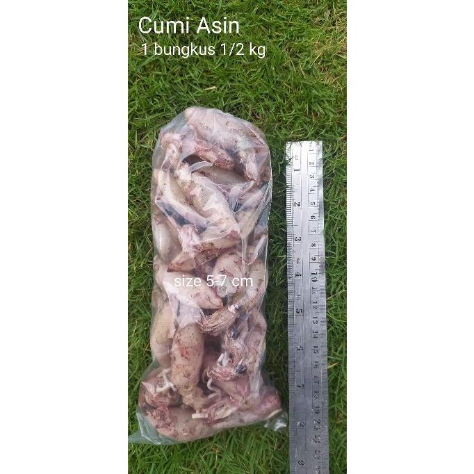 

Baby Cumi Asin Ukuran 5-7 cm berat 500 gram
