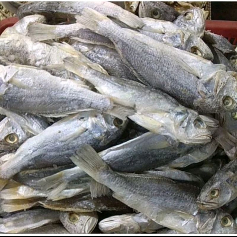 

Ikan Asin Kapala Batu Fresh