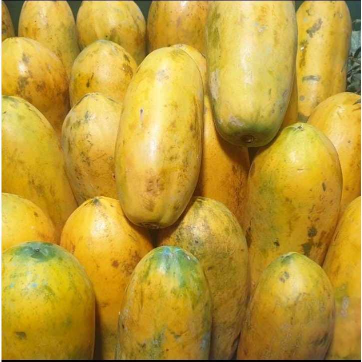 

pepaya california 1 kg ++