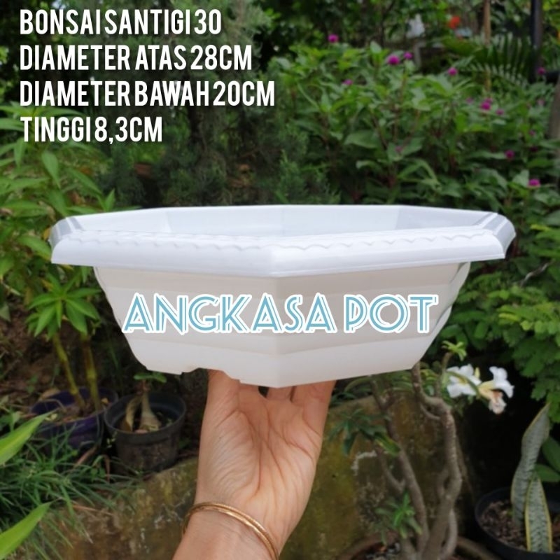 Pot bunga plastik Bonsai SANTIGI 30 Pot bulat Pot ceper Pot murah