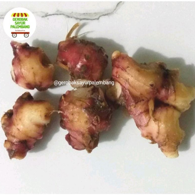 

Jahe Merah 250 gr - Gerobak Sayur Palembang