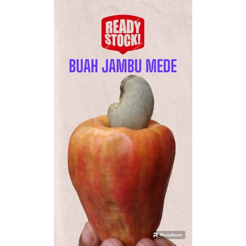 

(COD)BUAH JAMBU MEDE/JAMBU MONYET SEGAR