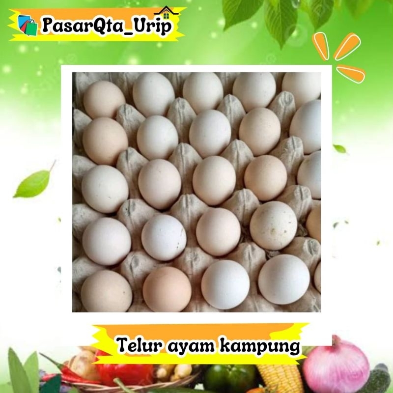 

Telur ayam kampung perRak / pasar online makassar