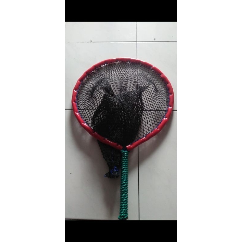 Serokan/Tanggok Ikan Konsumsi