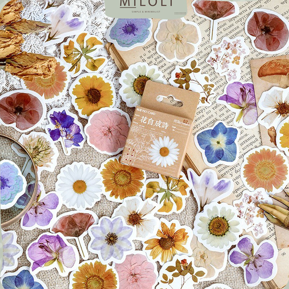 

Promo [MILOLI] 46 Pcs FLOWER Deco Sticker Planner DIY Scrapbook Stiker Bunga Dekor Kotak - B0030