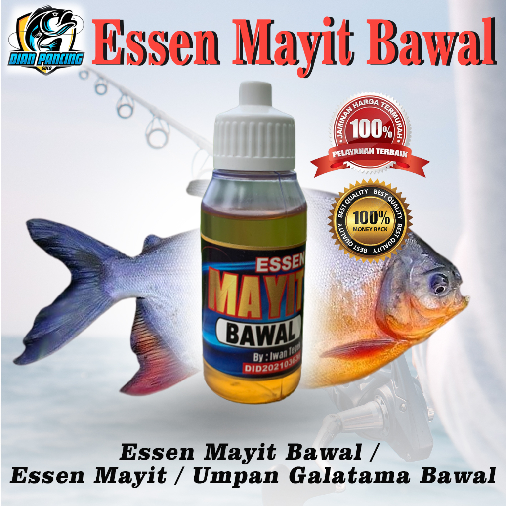 Essen Mayit Bawal / Essen Mayit / Umpan Galatama Bawal