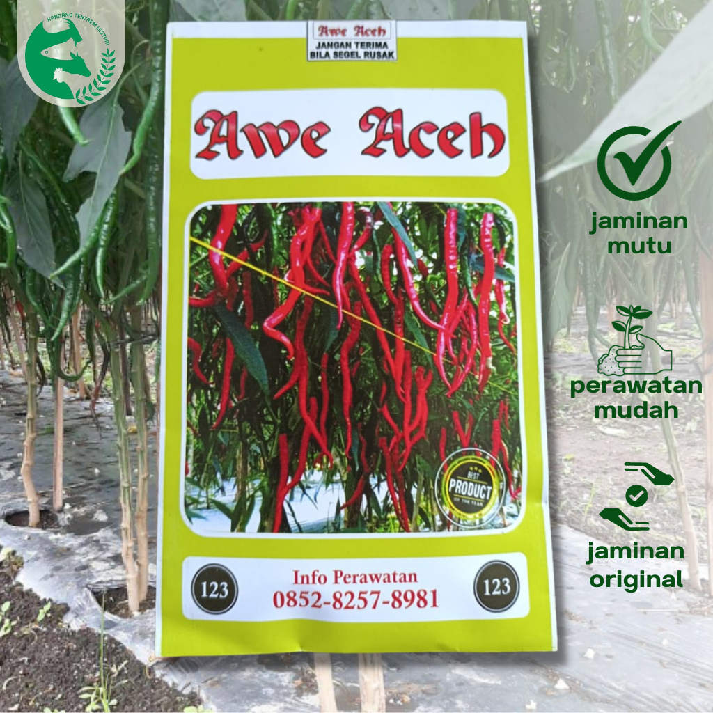 Benih Cabe Awe Aceh 10 gram Tinggi Bisa 2 meter Original Pabrik CMK Merah Keriting
