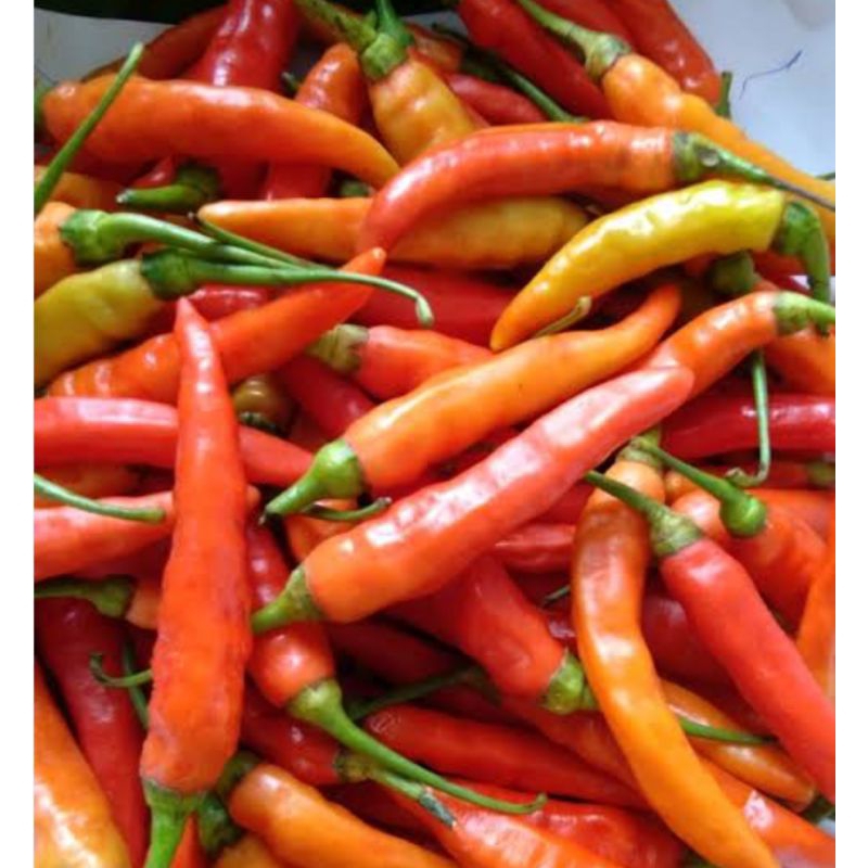 cabe rawit setan per pack 120 gram