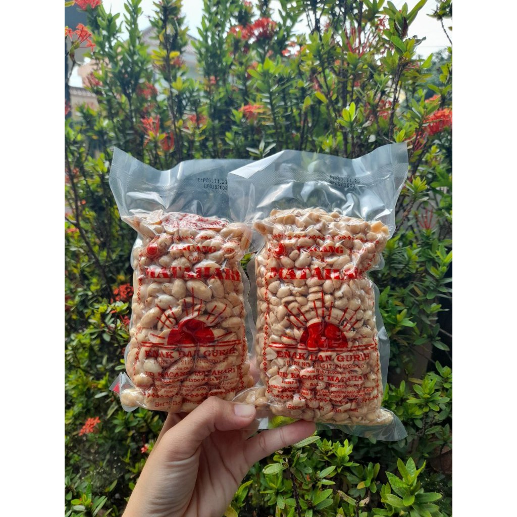 

KACANG BALI MATAHARI