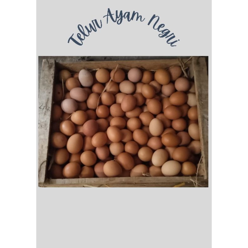 

Telur Ayam Negeri Fresh 250gr - 1kg