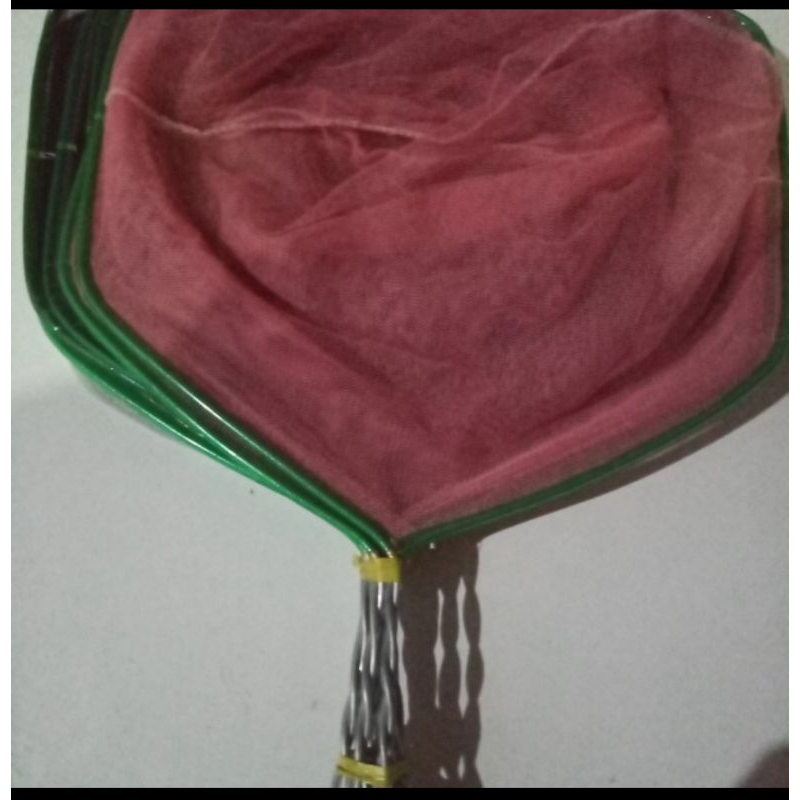 serokan ikan lokal 30cm