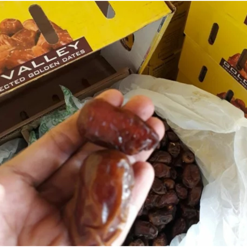 

Stok terbaru Kurma MESIR Premium / Kurma Golden Valley Gizza Dates Mesir Madu Original Super Fresh / Oleh Oleh Haji dan Umroh