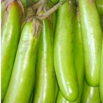 

Terong Hijau 500gr