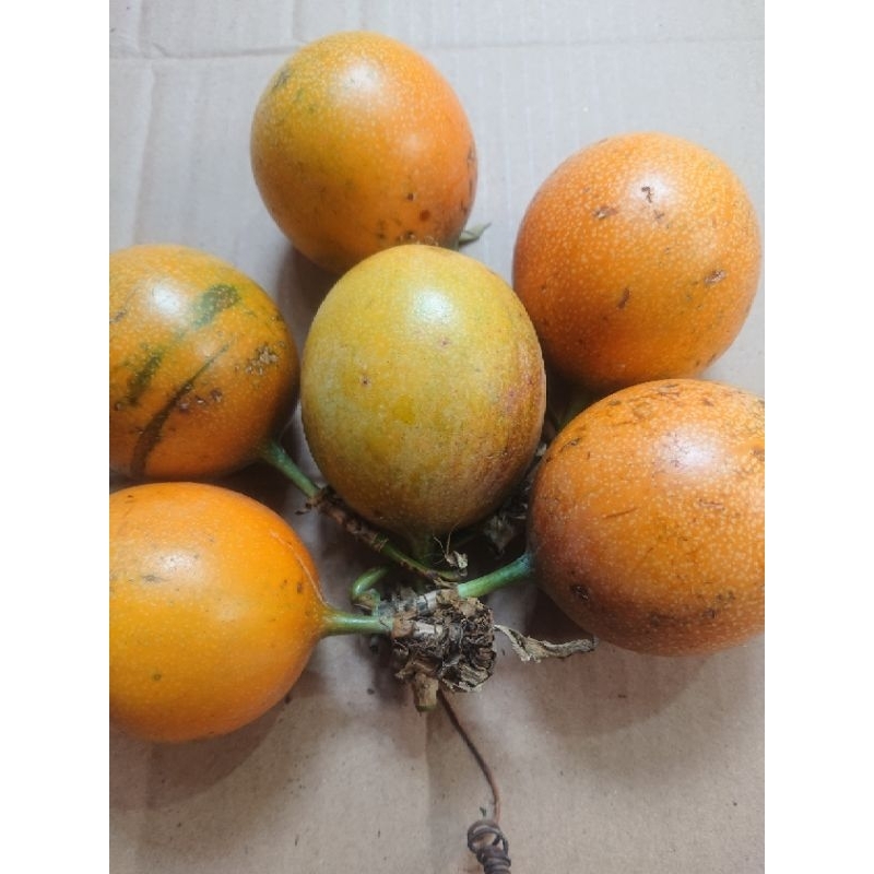 

Markisa Madu 500gr/ Buah Konyal Manis