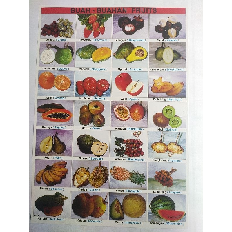 Poster Edukasi Anak Buah Fruits l Mainan Edukatif