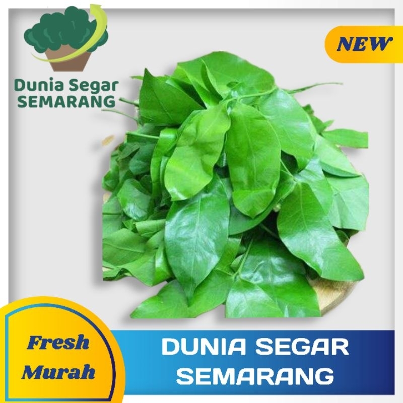 

Sayur Daun Mlinjo Dongso Dong so