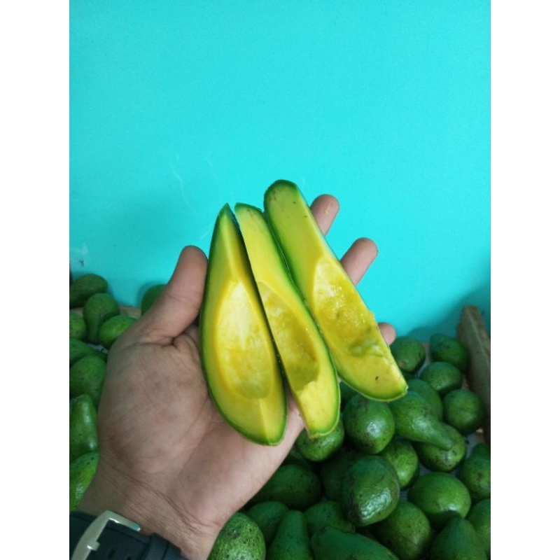 

Alpukat Mentega Asli (Size Jumbo) 1kg