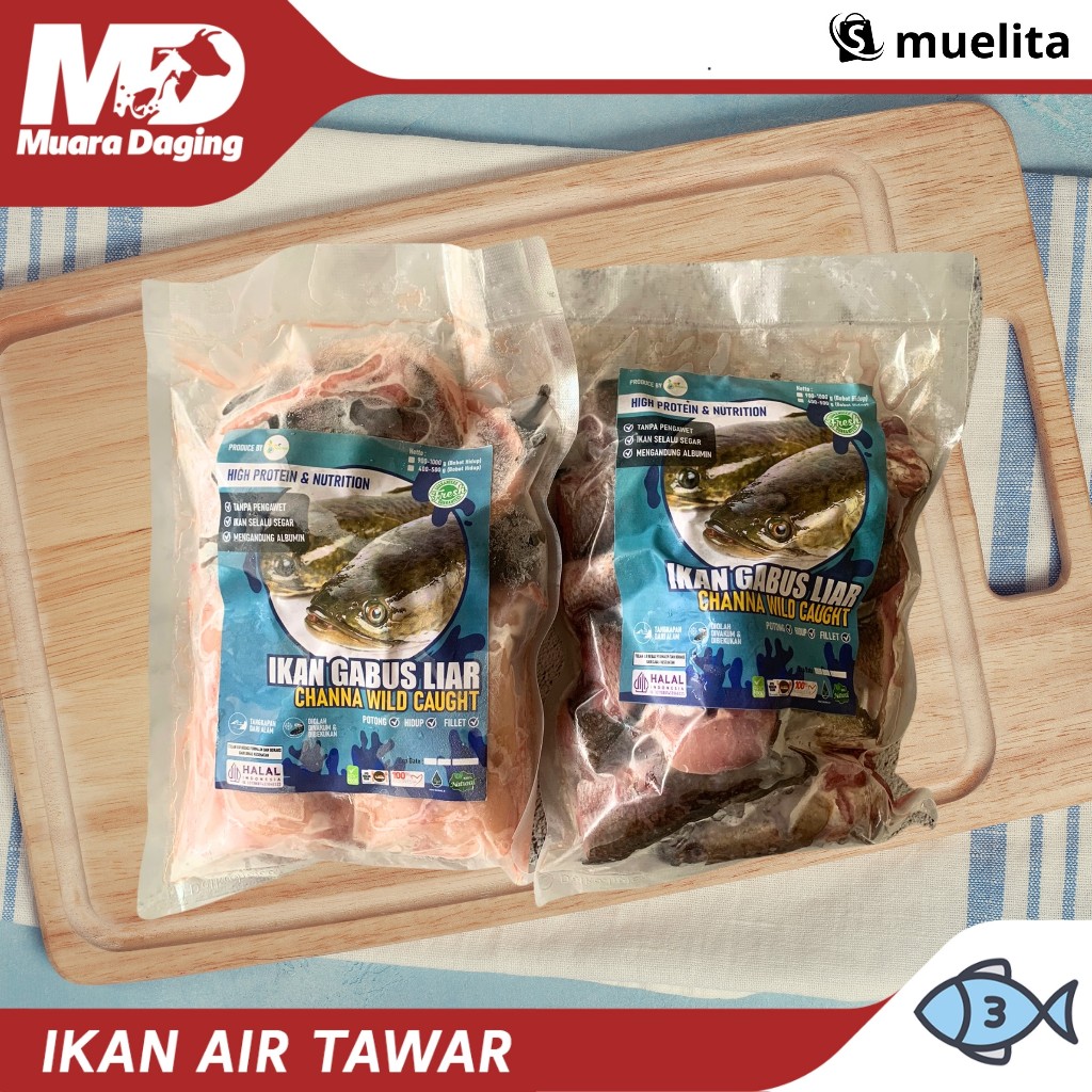 

PURE ORGANIC Ikan Gabus Liar - BEBAS KONTAMINASI & HIGIENIS